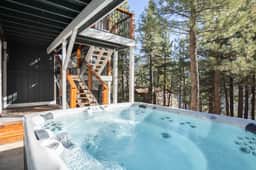 Luxury Big Bear Lakefront ,Theater, Spa and Dock. - Image 3