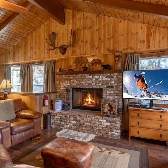 Bear Necessities ,4BR Cabin, Fireplace Near Slopes - Image 1